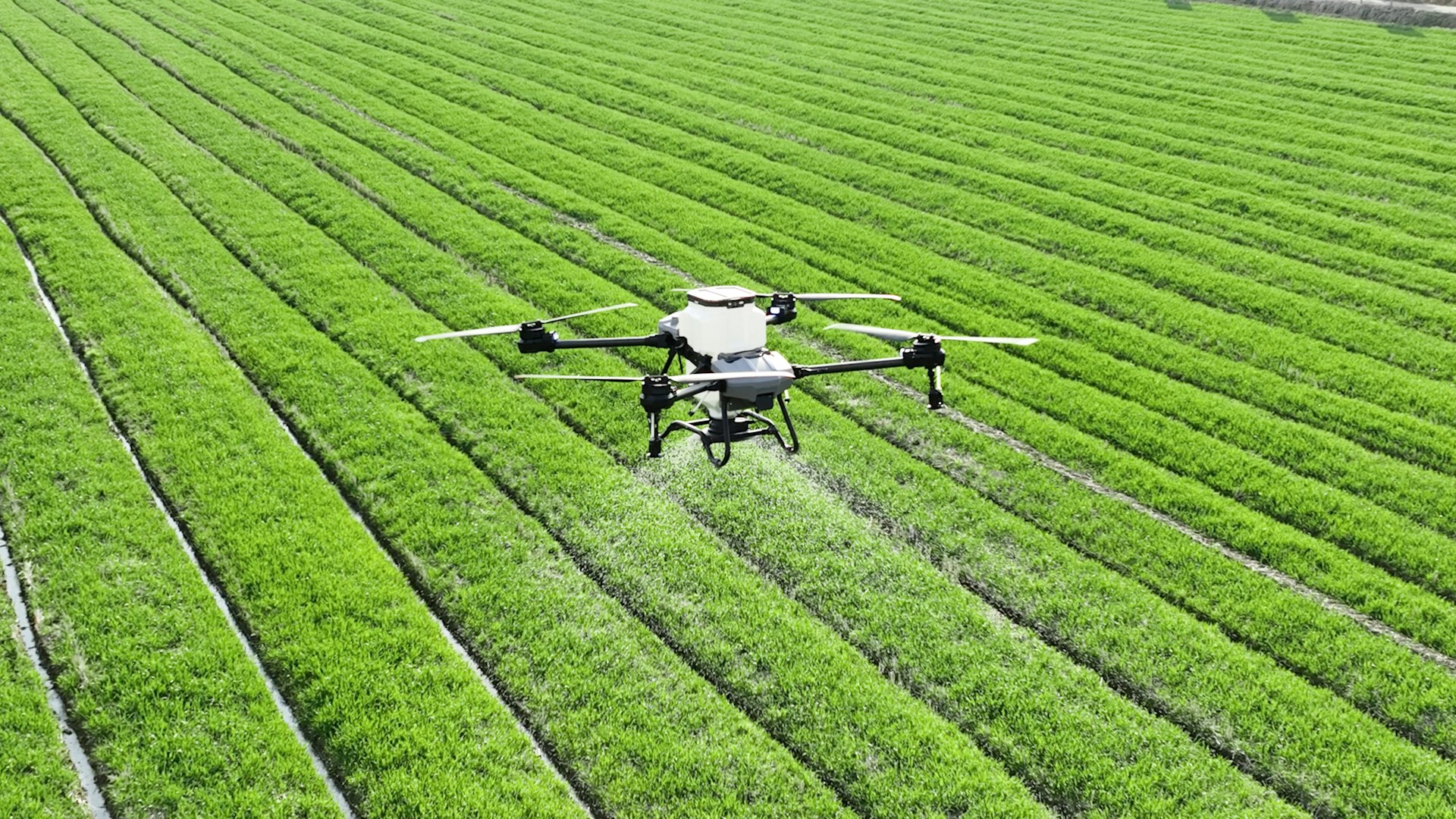 Plantation drone monitoring and fertilizer UAV